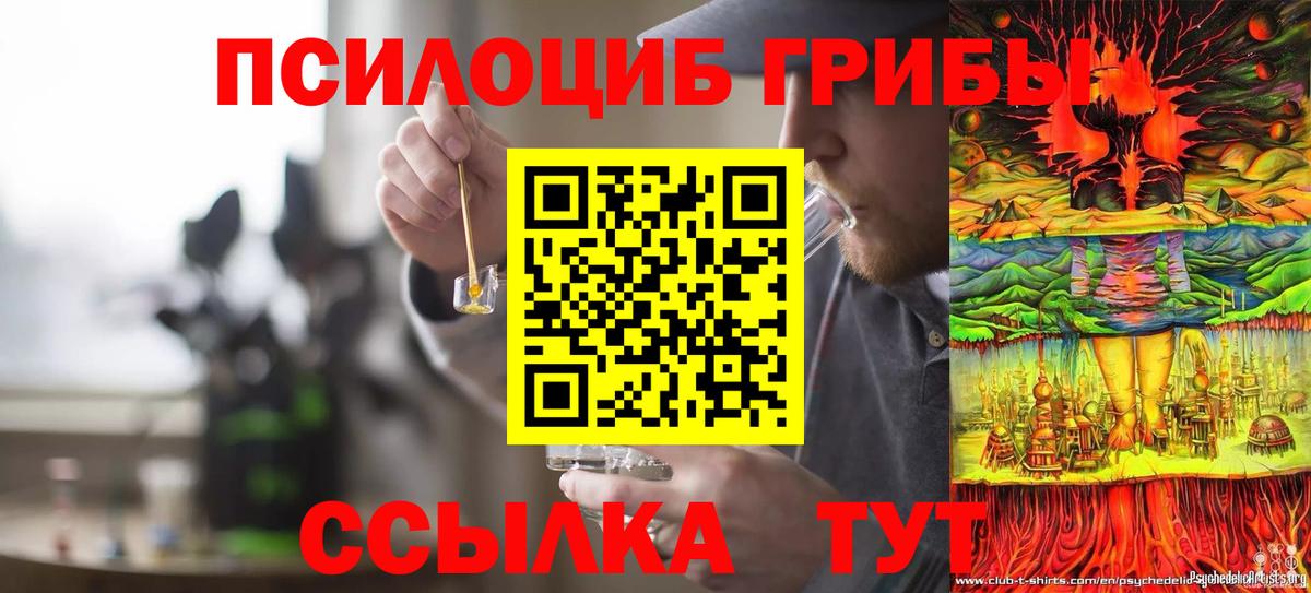 Ржев  Галлюциногенные грибы ЛСД  Вход с VPN 