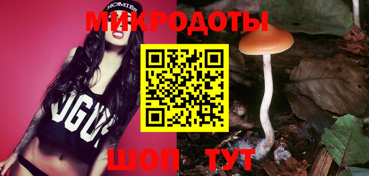 Галлюциногенные грибы Psilocybe Ржев
