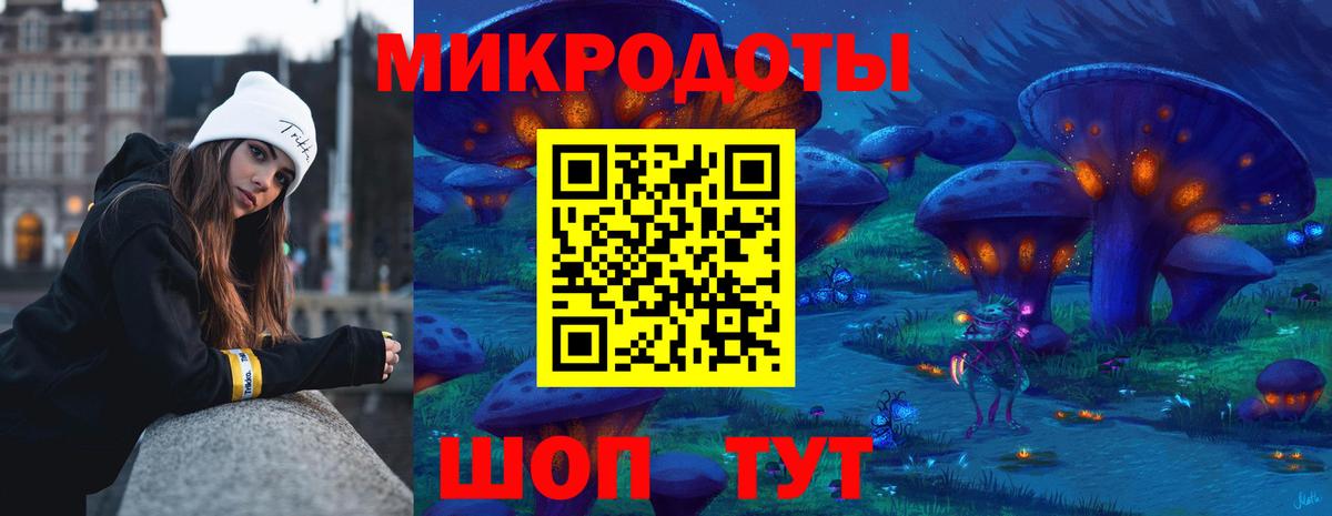 Псилоцибиновые грибы Psilocybe  Ржев 