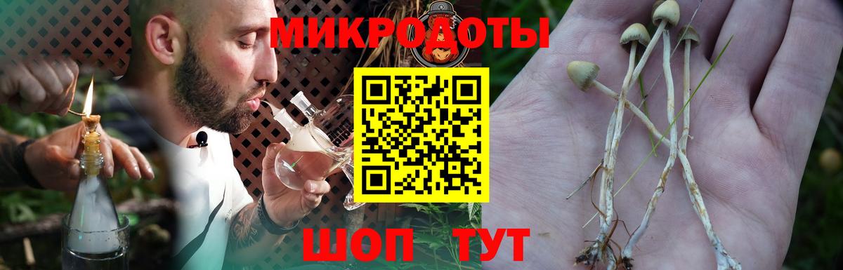 Марихуана  Ржев  A PVP  Кислота  Плюхи  Хэш  Меф  Вход с VPN 